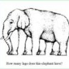 elephant # aka