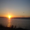 barkemuys # image